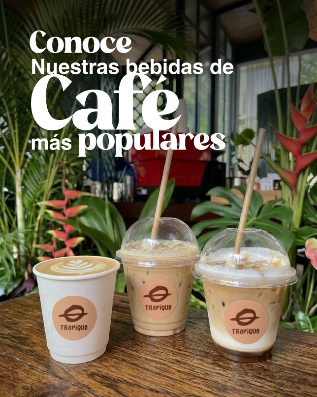 conoce1